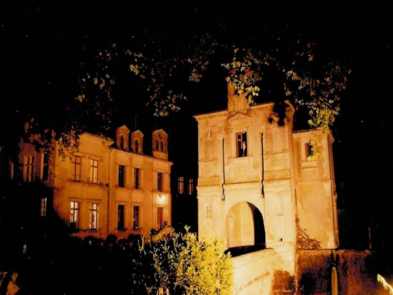Château de la Mezière_41360 LUNAY_8